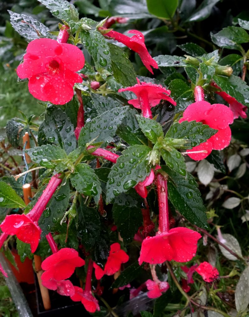DSC05080